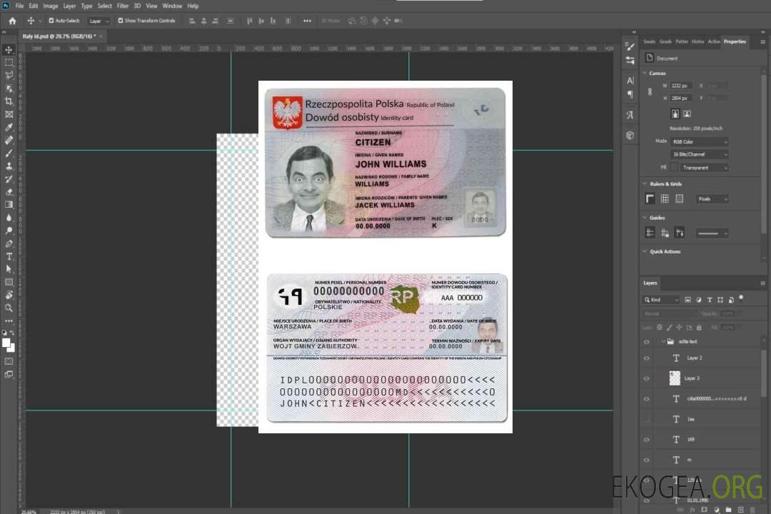 Modèle d'identification de Pologne au format PSD, entièrement modifiable (2021 – présent) template